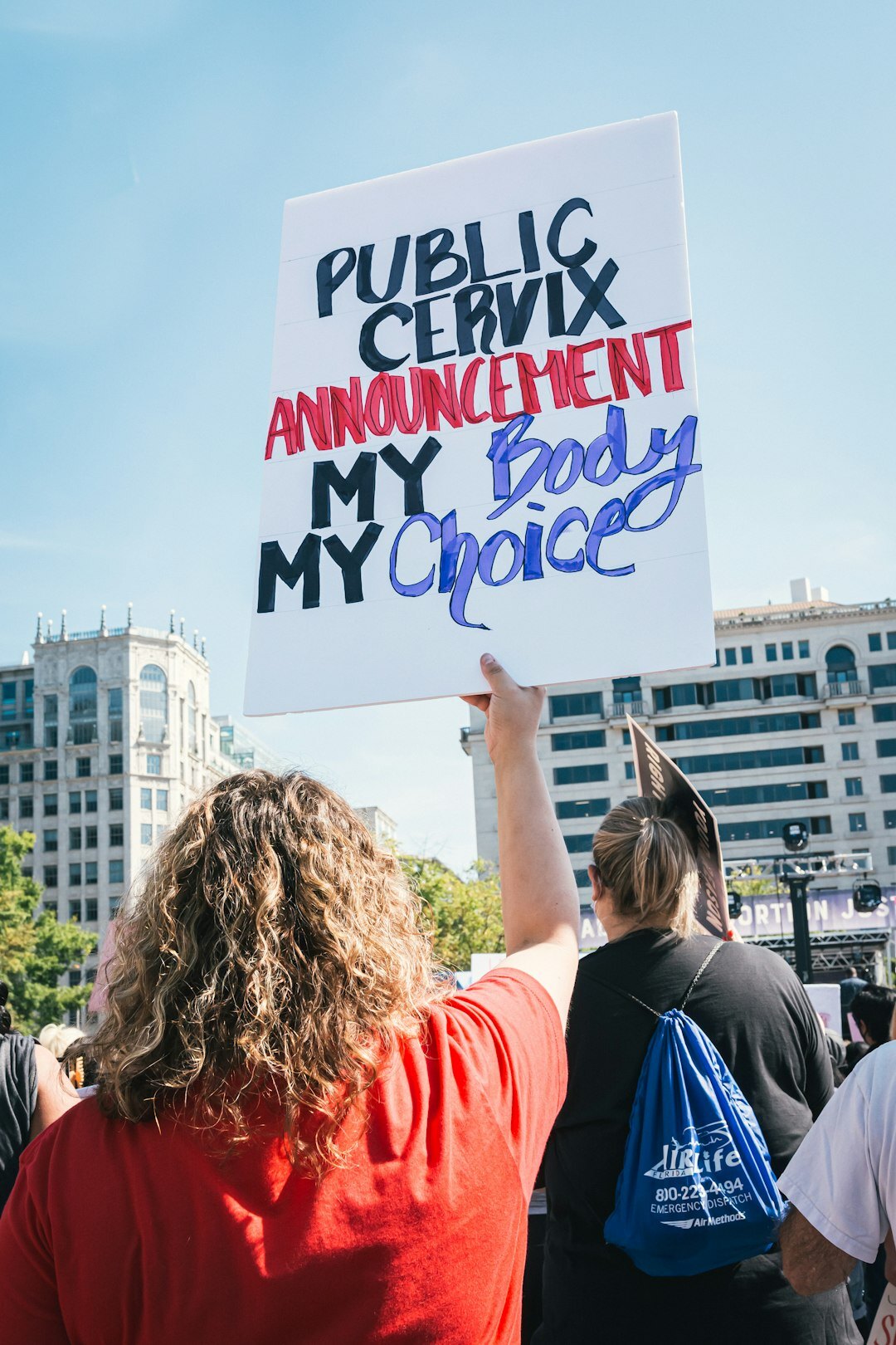 public opinion myths